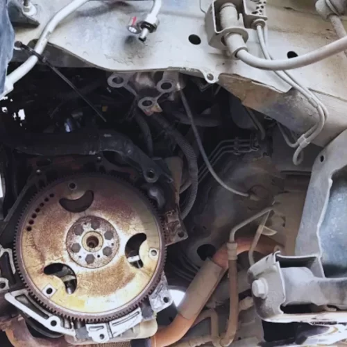 Design sem nome (33)